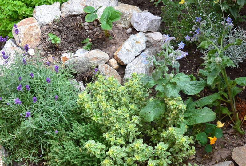 Permaculture element - herb spiral