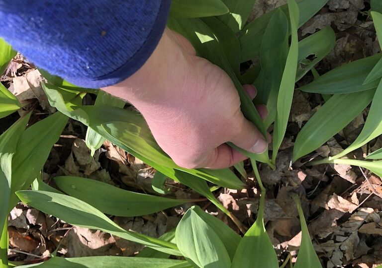 UNADJUSTEDNONRAW_thumb_4fa7