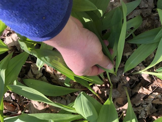 UNADJUSTEDNONRAW_thumb_4fa7