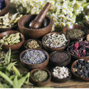 The ancient Chinese medicine