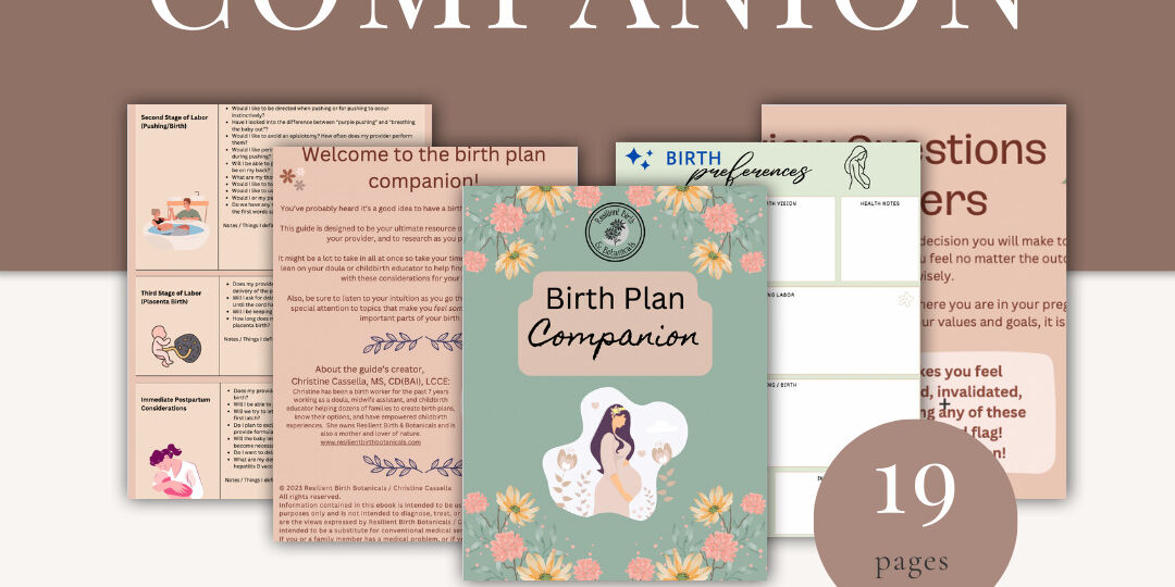Birth Plan Companion Instagram Page