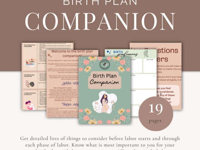 Birth Plan Companion Instagram Page